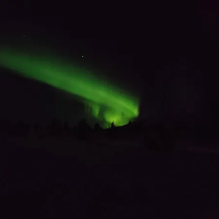 Yllaeksen Metsaepirtti - Ulkoilijan Koti *